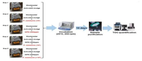 폐수 시료의 처리공정을 모사한 bioaugmentation 실험도