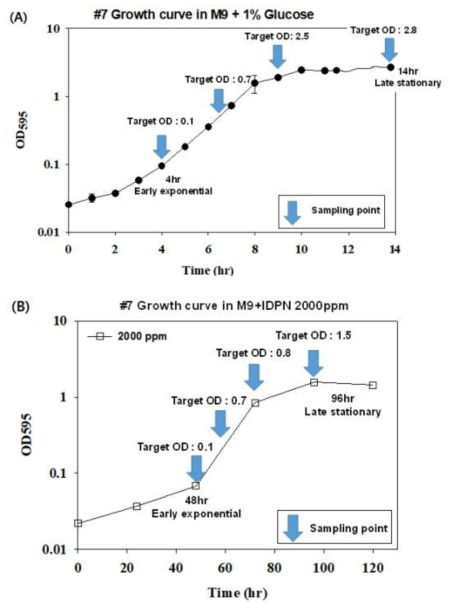 RNA seq 분석을 위한 P. communis NK1007 균주의 성장 단계별 시료채취 시간. A. Glucose 첨가배지, B. IDPN 첨가배지