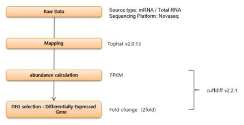 RNA seq raw data의 처리 모식도