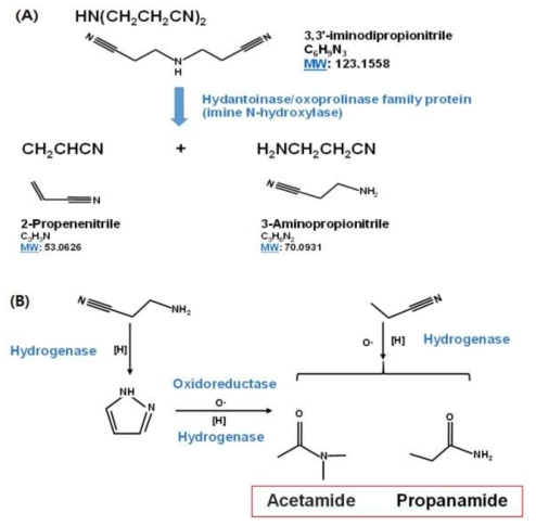 Chemical synthesis pathway를 기반으로 추정되는 2가지 형태의 생분해 경로