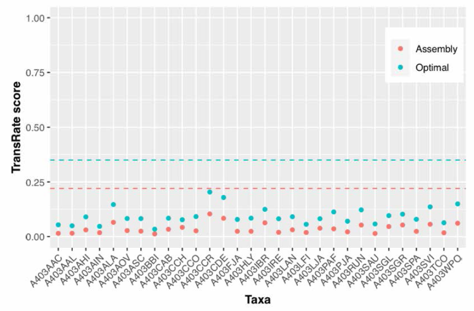 국화과 30종에 대한 TransRate 값. (빨간색 실선은 줄판된 115개의 현화식물 핵 전사체 TransRate Assembly score 평균값，파란색 실선은 출판된 115개의 현화식물 핵 전사체 TransRate Optimal score 평균값(Smith_Unna et al. 2016)