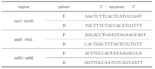 새끼노루귀 엽록체 DNA marker