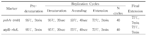 PCR 조건