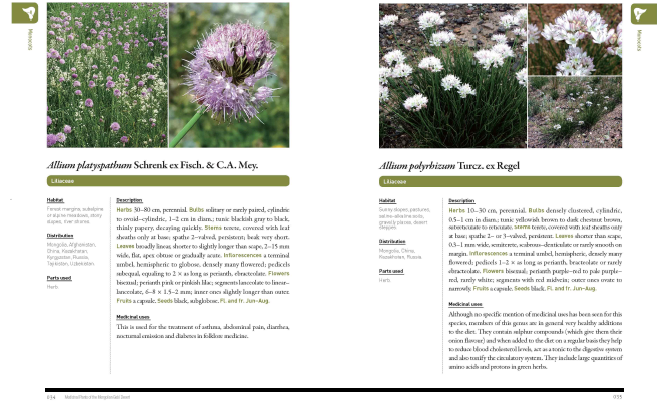 Medicinal plants of Mongolia Gobi Desert 본문