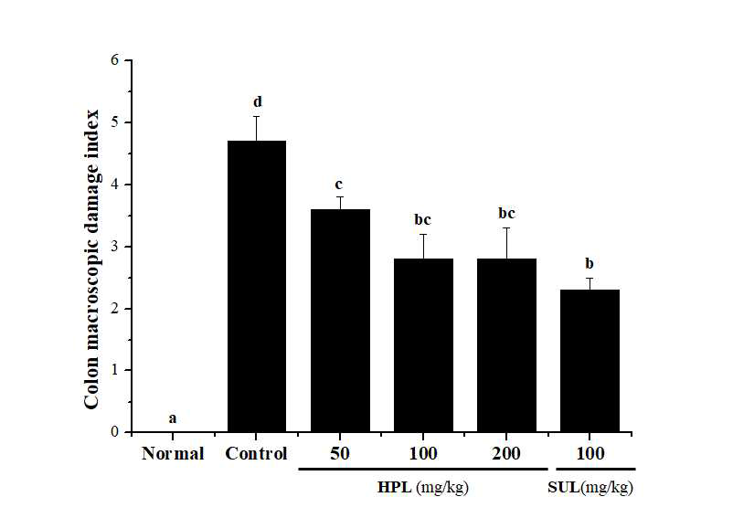 DSS로 유도된 대장염 모델에서 식의약 소재인 HPL-01이 대장 손상지수에 미치는 영향 a~d)실험군별 평균값의 통계적 유의수준은 p<0.05에 대한 각각의 부집단으로 표기