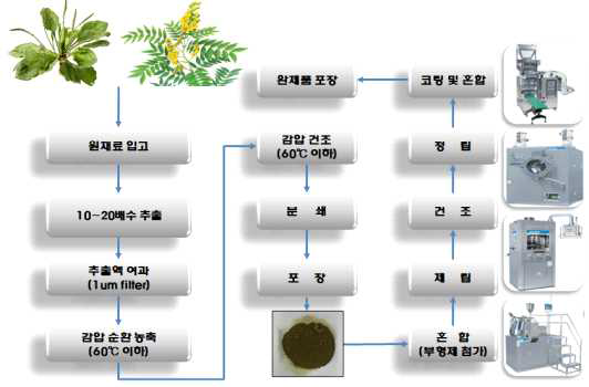 임상시험용 의약품 제조공정