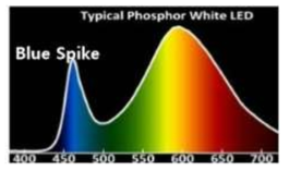 백색 표준 LED의 스펙트럼