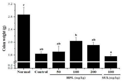 DSS로 유도된 대장염 모델에서 식의약 소재인 HPL-01이 대장 무게에 미치는 영향 a~c)실험군별 평균값의 통계적 유의수준은 p<0.05에 대한 각각의 부집단으로 표기