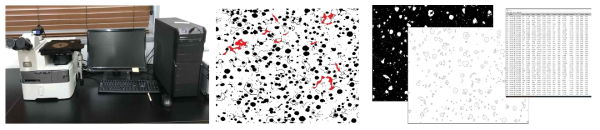 고규소 구상흑연주철 시편의 미세조직 분석 방법