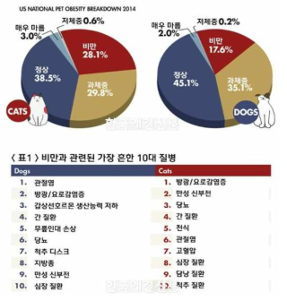 반려동물 비만 비중 및 관련 질병