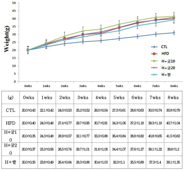 8주간 동물실험 무게