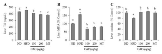동물모델 간 조직에서 중성지방, 지질과산화, 및 catalase의 변화에 대한 엉겅퀴복합추출물의 효과. ND : 정상군, HFD : 고지방식이군, CAC : 엉겅퀴복합추출물, MT : 밀크시슬 추출물