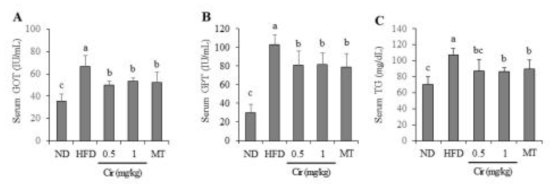 동물모델에서 중성지방 및 간기능 개선 지표에 대한 cirsimaritin의 효과. ND : 정상군, HFD : 고지방식이군, Cir : cirsimaritin, MT : 밀크시슬 추출물