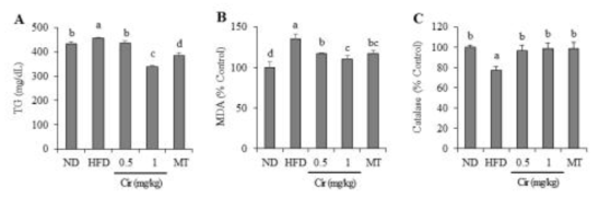 동물모델 간 조직에서 중성지방, 지질과산화 및 catalase의 변화에 대한 cirsimaritin의 효과. ND : 정상군, HFD : 고지방식이군, Cir : cirsimaritin, MT : 밀크시슬 추출물