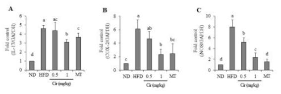 동물모델 간 조직에서 IL-17, iNOS, COX-2의 발현 변화에 대한 cirsimaritin의 효과. ND : 정상군, HFD : 고지방식이군, Cir : cirsimaritin, MT : 밀크시슬 추출물