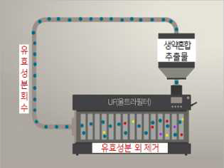 HO-01의 UF 공정