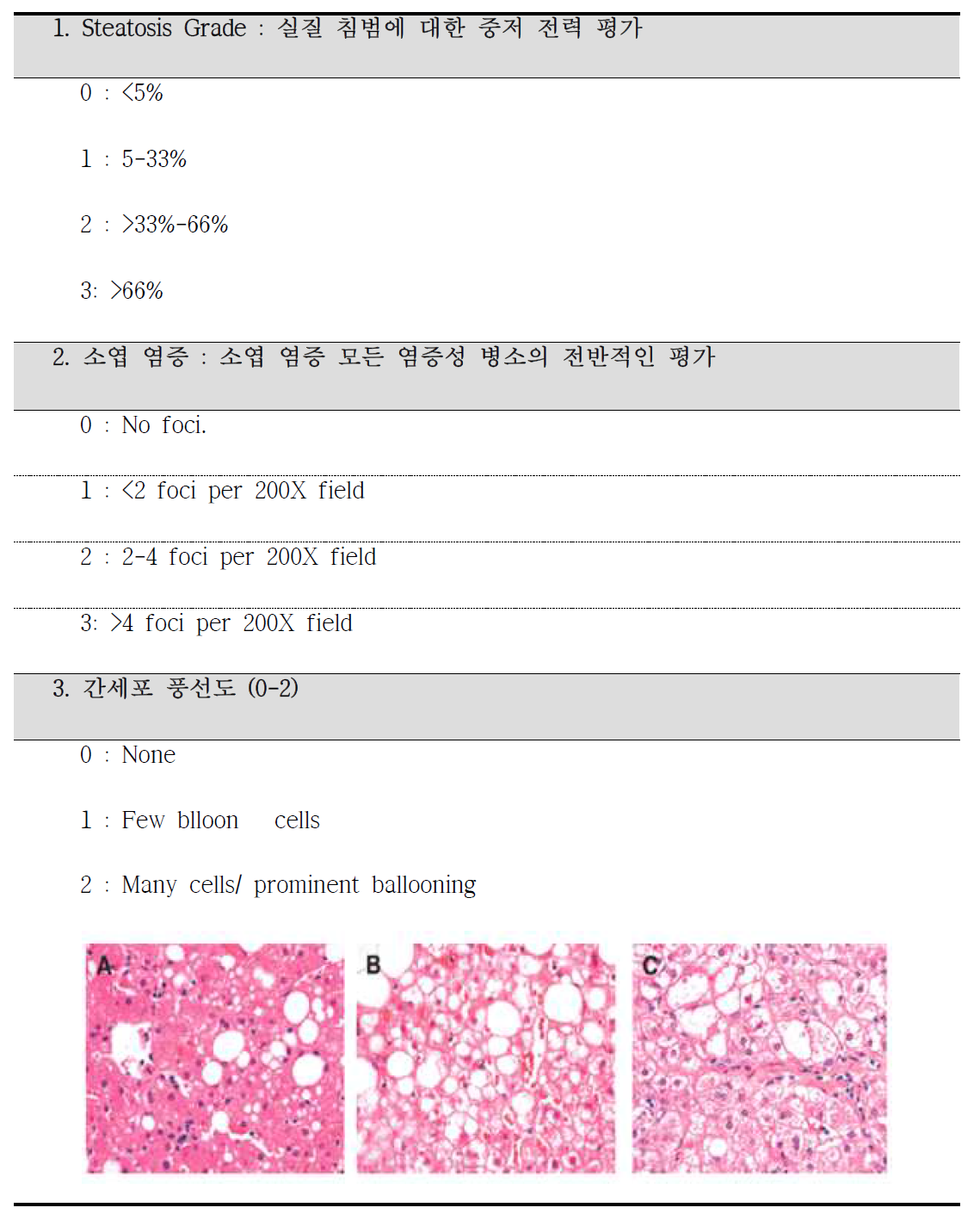 NASH 점수 표준