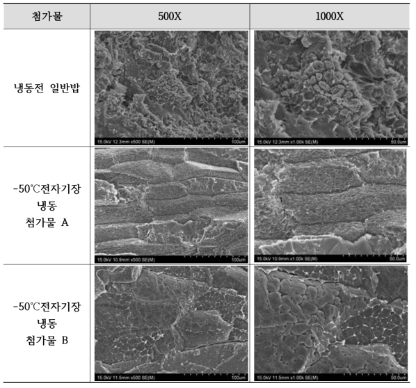 냉· 해동 안정성을 위한 첨가물 사용에 따른 밥의 주사전자현미경 관찰