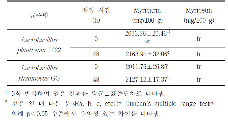 유산균주 및 배양 시간 따른 고욤나무잎 고체배양물의 myricitrin 및 myricetin 함량 비교