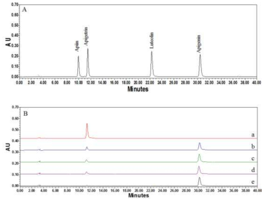 효소 반응 시간에 따른 apigetrin 표준물질의 HPLC 크로마토그램 비교; 표준물질(A), 반응시간에 따른 apigetrin HPLC 크로마토그램(B), (a); 0분, (b); 30분, (c); 60분, (d); 90분, (e); 120분