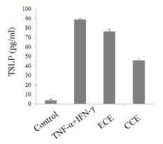 TNF-α와 IFN-γ로 자극된 인체 유래 피부 각질세포(HaCaT)에서 셀러리잎 에탄올 추출물(ECE)과 셀러리잎 에탄올 추출 후 구연산처리 가수분해물 (CCE)의 TSLP 생성 억제 효과. 세포는 추출물을 각각 100μg/mL 농도로 1시간 전 처리한 후 TNF-α와 IFN-γ (10 ng/mL)를 자극하고 24시간 후에 TSLP에 대한 ELISA kit를 활용하여 TSLP를 측정하고 정량하였다. 자료 값은 3번복 시험으로부터 얻은 수치를 평균 ± 표준편차로 표시