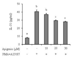 인간 비만세포 유래 HMC-1세포에서 IL-31 생성능에 미치는 apigenin의 영향. HMC-1 세포를 대상으로 추출물 처리와 무처리군을 PI로 자극한 후 상층액을 대상으로 ELIS법으로 IL-31의 생성량을 측정하였다.. 자료 값은 3번복 시험으로부터 얻은 수치를 평균 ± 오차로 표시하였고, p<0.05 : PI로 자극된 대조군과 비교