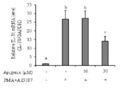 인간 비만세포 유래 HMC-1세포에서 IL-31 mRNA 발현에 미치는 apigenin의 영향. HMC-1 세포를 대상으로 추출물 처리와 무처리군을 PI로 자극한 후 mRNA을 대상으로 Real time RT-PCR법으로 IL-31 단백질 발현을 측정하였다. 자료 값은 3번복 시험으로부터 얻은 수치를 평균 ± 오차로 표시하였고, p<0.05 : PI로 자극된 대조군과 비교
