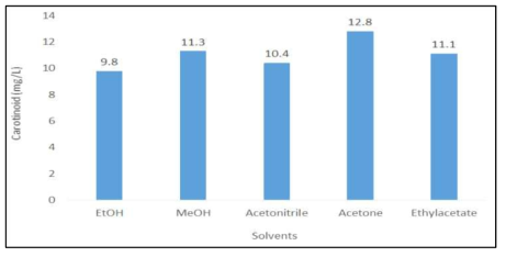 용매에 따른 카로티노이드 추출 효율 비교
