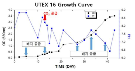 컬럼배양기에서 세포농도와 pH 변화 및 이산화탄소를 이용한 pH 조절