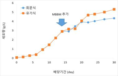 H. pluvialis의 유가식 배양을 통한 세포량 증대