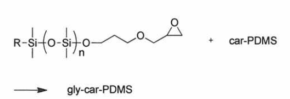 gly-car-PDMS 합성 스킴