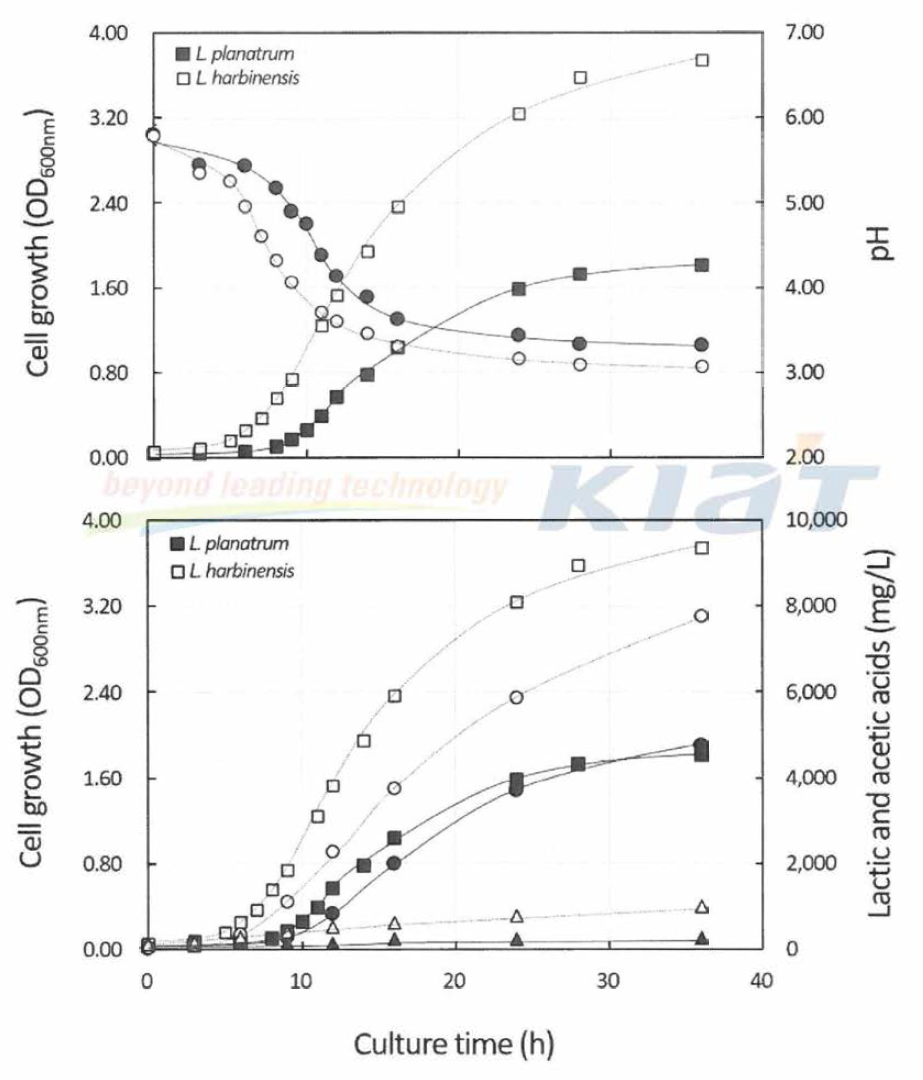 Lactic acid fermentation in GY medium supplemented with 2.5% glucose and 1% yeast extract with mixed L. plantarum and L. harbinensis