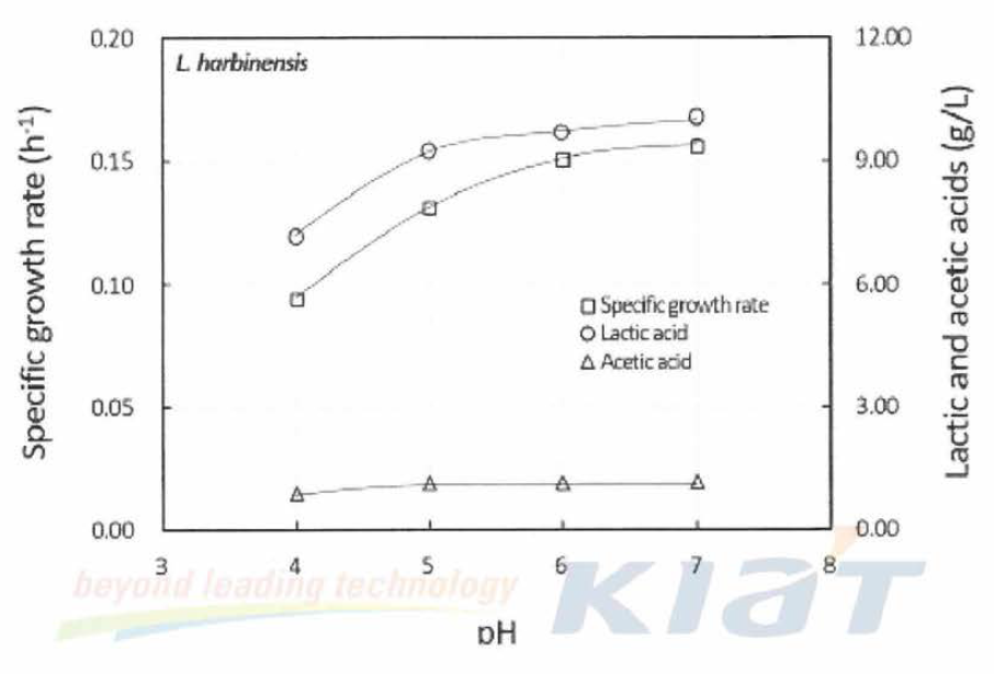 Effect of initial pH on cell growth and lactic acid formation using L. harbinensis with GY medium