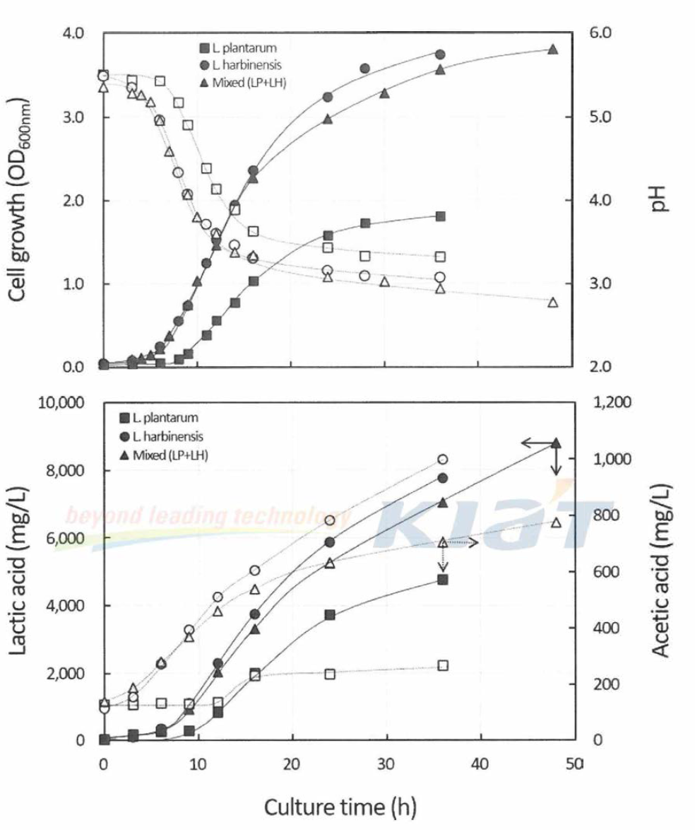 Culture profile of lactic acid fermentation with GY medium by single and mixed inoculation of L plantarum and L. harbinensis