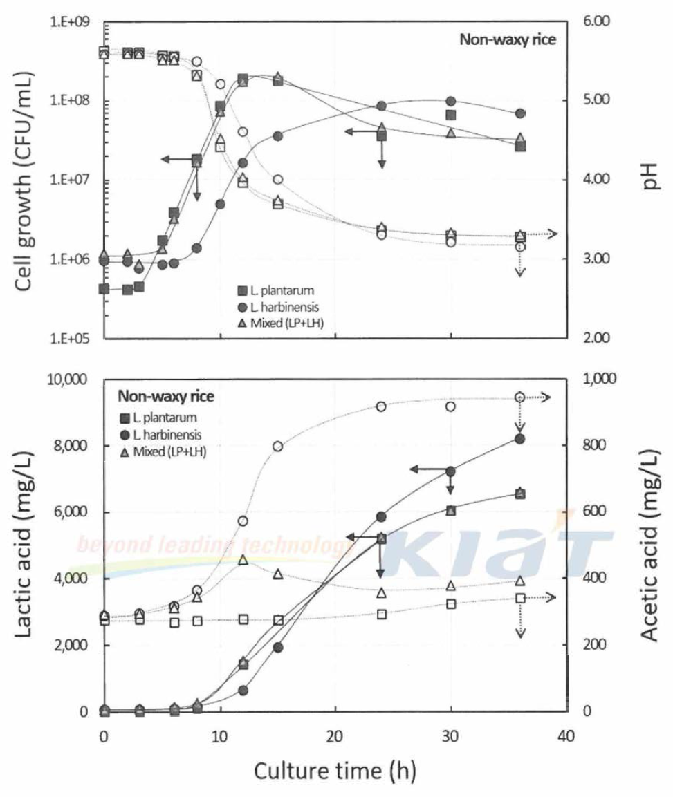 Culture profile of lactic acid fermentation with non-waxy rice by single and mixed inoculation of L plantarum and L. harbinensis