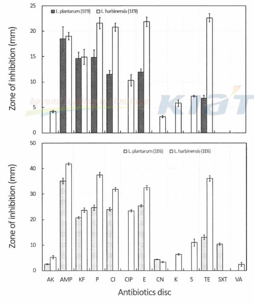 Antibiotic susceptibility of L. plantarum and L. harbinensis by disc diffusion method