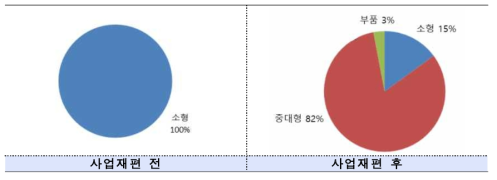 주관기업 기업재편에 따른 사업구조 변화