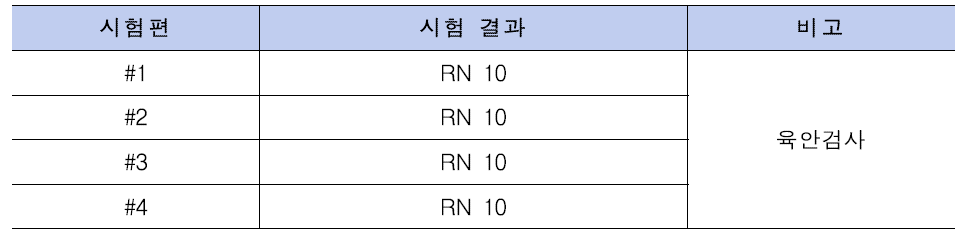 내식성 시험 결과