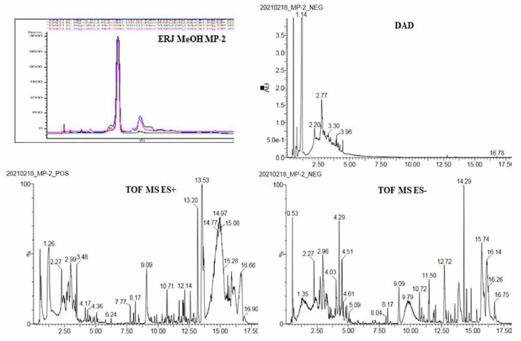 ERJ-MeOH MP-2 소분획물의 HPLC 크로마토그램 및 LC/MS