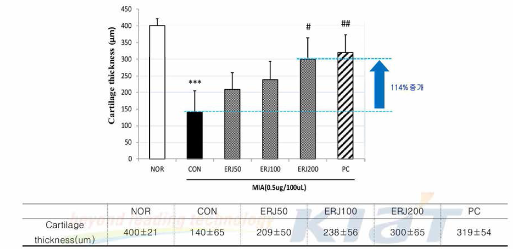 Effects of ERJ on Cartilage thickness in Rats. Data are expressed as mean 士SE (n=4). ***p<0.001 compared with NOR, #p<0.05 and ##p<0.01 compared with CON