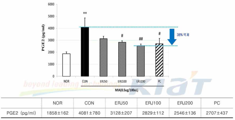 Effects of ERJ on PGE2 in Rats. Data are expressed as mean 士SE (n=4). **p<0.01 compared with NOR, #p<0.05 and ##p<0.01 compared with CON