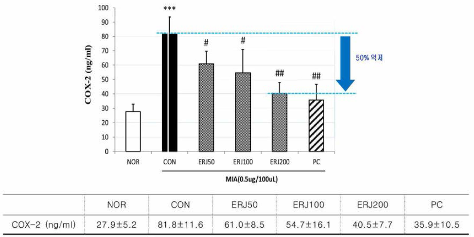 Effects of ERJ on COX-2 in Rats. Data are expressed as mean 士SE (n=4). ***p<0.001 compared with NOR, #p<0.05 and ##p<0.01 compared with CON