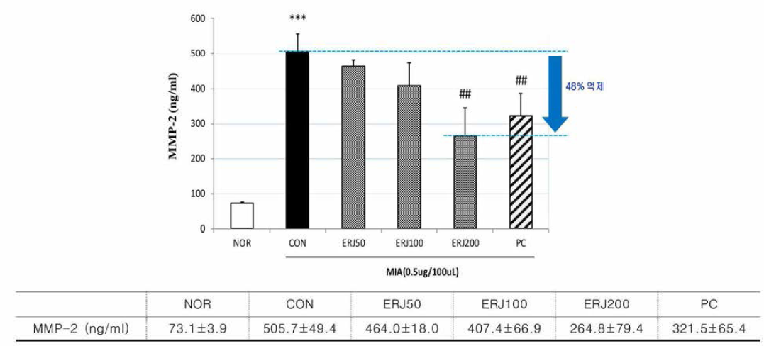 Effects of ERJ on MMP-2 in Rats. Data are expressed as mean 士SE (n=4). ***p<0.001 compared with NOR, ##p<0.01 compared with CON