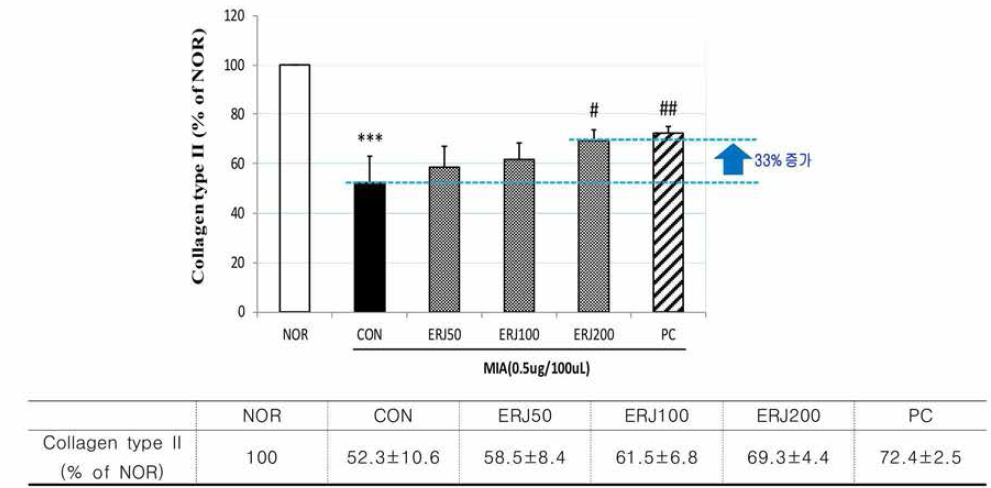 Effects of ERJ on Collagen type II in Rats. Data are expressed as mean 土SE (n=4). ***p<0.001 compared with NOR #p<0.05 and ##p<0.01 compared with CON