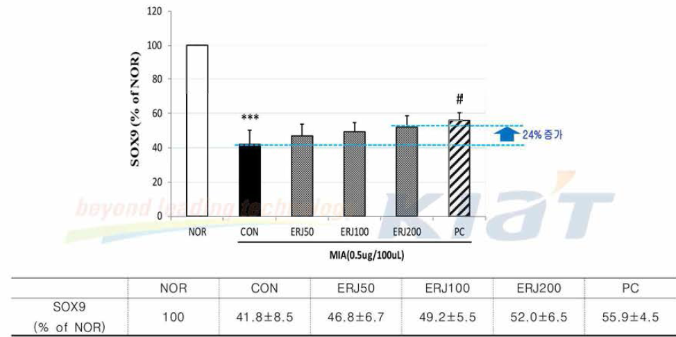 Effects of ERJ on S0X9 in Rats. Data are expressed as mean 士SE (n=4). * **p<0.001 compared with NOR #p<0.05 compared with CON