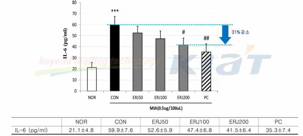 Effects of ERJ on IL-6 in Rats. Data are expressed as mean 士SE (n=4). ***p<0.001 compared with NOR, #p<0.05 and ##p<0.01 compared with CON