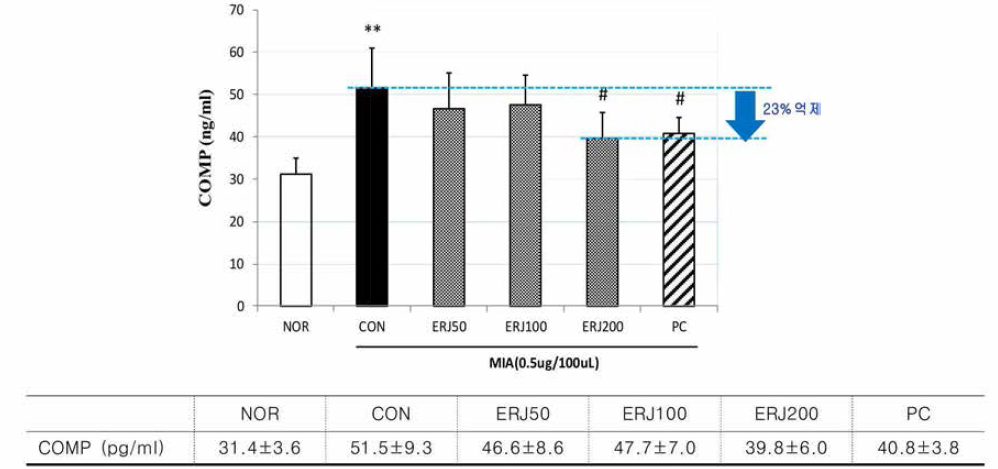 Effects of ERJ on COMP in Rats. Data are expressed as mean 士SE (n=4). **p<0.01 compared with NOR, #p<0.05 compared with CON