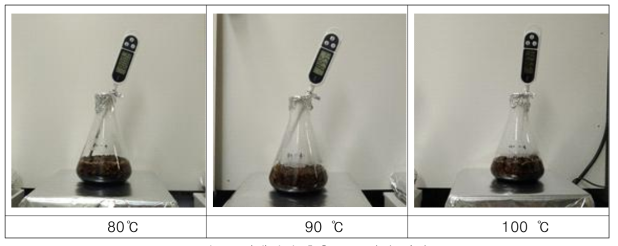 진생베리 추출 온도설정 시험