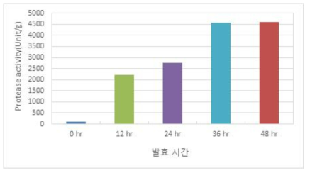 발효 시간에 따른 발효 대두의 단백분해효소활성