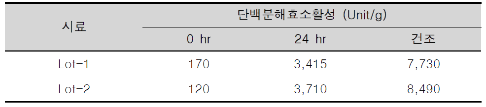 스케일업 발효 대두의 단백분해효소활성